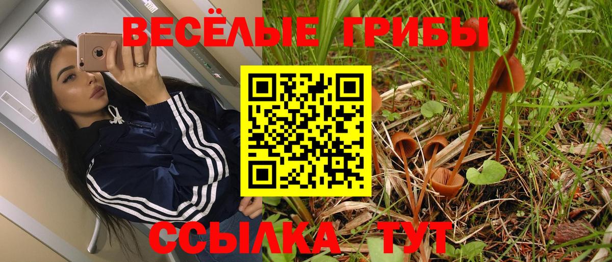 Галлюциногенные грибы мицелий Нижнекамск